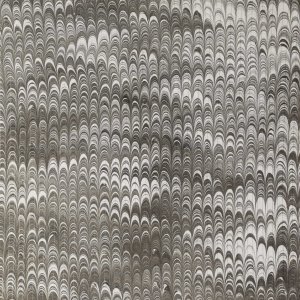 画像3: hc45kira-20