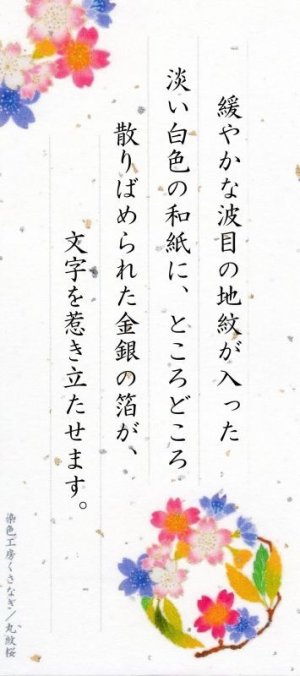 画像4: ippitusen01