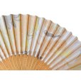 画像2: sensu98 (2)